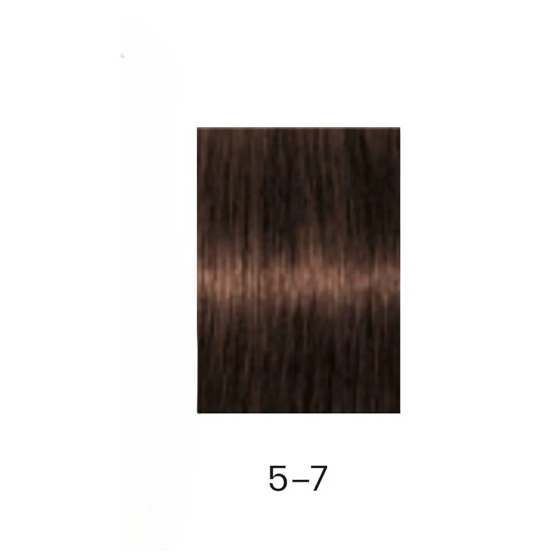 ALTEREGO TECHNOFRUIT COLOR 5/7 CASTAÑO CLARO MARRON