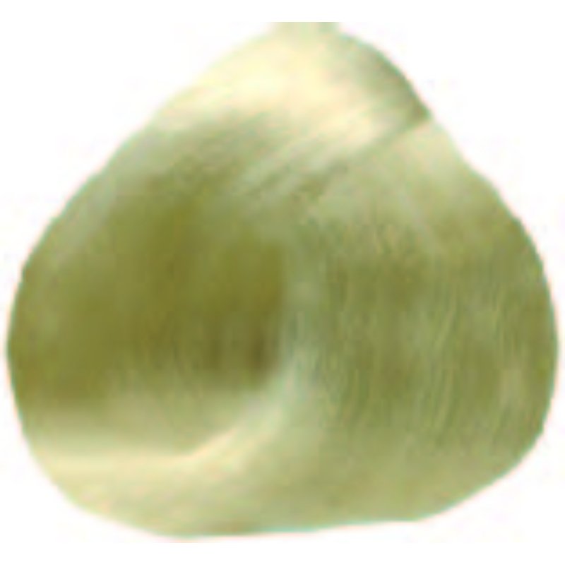 COMPAGNIA DEL COLORE PLATINUM BLOND 11.0